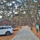 고창부안축산업협동조합 | 전북 부안 변산반도 캠핑장 고사포야영장 예약방법 명당 편의시설 총정리