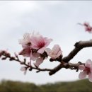 감곡시장 이미지