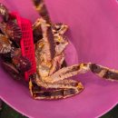 중앙수산 이미지