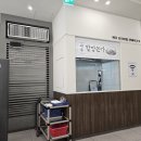 찰돈가 | [화성맛집] 도심 속 작은 제주! 가성비 최고 점심특선 '제주할망돈가' 내돈내산 후기 🌴🐷