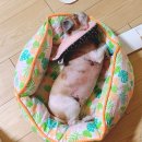 본죽김해어방점 | [일상] 190812~190818 동탄 거제도 김해까지, 여름휴가 일상