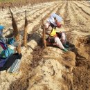 늘해랑농원 이미지