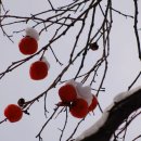 현진아파트 이미지