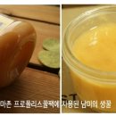 팩코 이미지