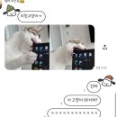1월 일기 - 새해 목욕탕 클리어 / 두바이 원정대 (청주 던킨 두바이 도넛)