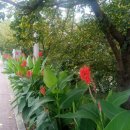 유앤아이부동산중개사무소 이미지