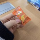 솔빛도서관 | 너무 망하면 손도 못 대요