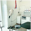 댕댕이 애견미용샵 이미지