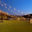 홍시식당 이미지