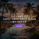 146 | 📸 도쿄 스냅촬영 추천 도쿄치즈 시네마틱 여행사진 56,850원 후기 146개 인증