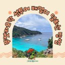 수린약국 | 푸켓/카오락 섬투어 배멀미 덜하는 방법