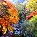 강천산(대구) 이미지