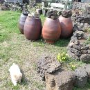 테마민박 이미지