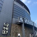 노형수퍼마켙 | 제주 노형수퍼마켙 후기 - 제주패스로 무료 입장, 가성비 최고 미디어아트 공간