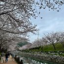 해수천1호 이미지