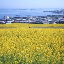 본죽앤비빔밥경남사천점 | 진주 가볼만한곳, 여행코스, 경비, 맛집, 드라이브 코스, 카페 추천