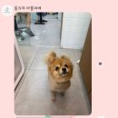 몽크의 아뜰리에 이미지