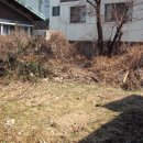 파동주유소 이미지