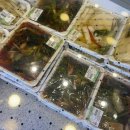 김밥천국(벌교) 이미지