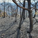 동해어달산봉수대 이미지