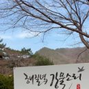 무릉도원면-42 네이버블로그