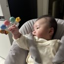GR(괴산군)-[읍내로]-상-8 | 2월 일기