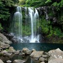 천제연폭포 이미지