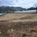 진흥 부동산중개사무소 이미지