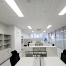 최강부동산중개 이미지