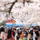 벚꽃공인중개사사무소 이미지