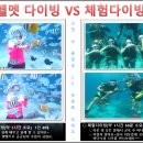 [보라카이자유여행/드보라]헬멧다이빙VS체험다이빙 이미지