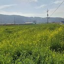 청포마을 이미지