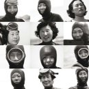 제주 올라 이미지