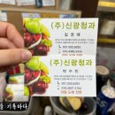 신광청과