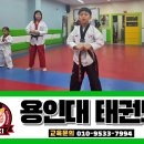 용인대멘토태권도 이미지
