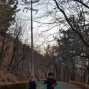 청량산 임도1 이미지