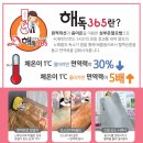 해독365 프로그램 이미지