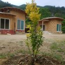 보경토옥 이미지