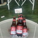 스테이그린 이미지