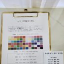 캣네일 | (내돈내산)부산 서면 퍼스널컬러 ‘캣네일&퍼스널컬러’ 후기