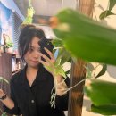 주정차39 | 김천 애견동반 카페 감성 분위기 좋은 김천 카페 “리스트” 솔직후기｜김천 연화지 벚꽃 축제 정보