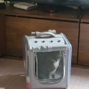 제주온동물병원 이미지