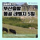 재미있는 역사 여행 | 부산출발 몽골 패키지 5일 6월 7월 8월 여행 날씨 후기 비용 총정리