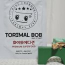 토리스토리 | 크레스티드게코 먹이 바꾸기 고민 중이라면, 초보집사의 토리멀밥 후기