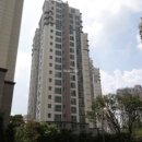 군포신기초등학교 이미지