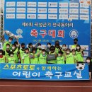 오아시스토토