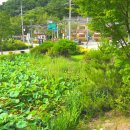 지곡면보건지소 이미지