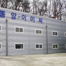 이이씨