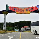 보령화원 - 중구 퇴계로 217 | 보령화원