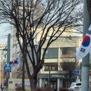 제주평화박물관 | 삼일절- 이번 삼일절, 제주 해녀박물관에서 만난 뜨거운 숨비소리를 기억하며 🌊🇰🇷